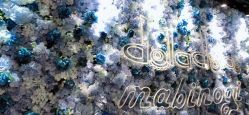 -doladola(徐家汇店)