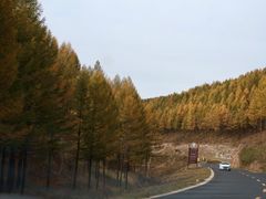 -塞罕坝国家级自然保护区