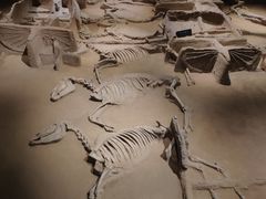 -洛阳周王城天子驾六博物馆