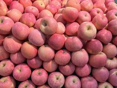 -新隆嘉 供销超市(修竹商场店)