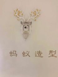 -蚂蚁造型俱乐部