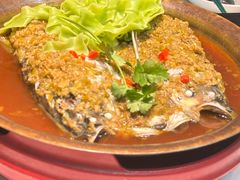 -蜀香格格•剁椒鱼头(龙西店)
