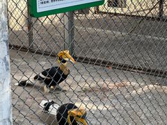 -合肥野生动物园