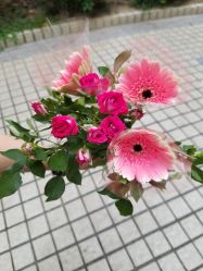 -Kraemer Paris  苏豪路易士·嘉玛发廊
