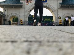 -北山公园
