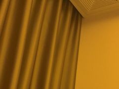 -金色莲花泰式按摩SPA(石牌店)
