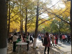-辽宁大学(崇山校区)