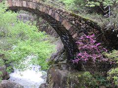 -天台山琼台仙谷景区