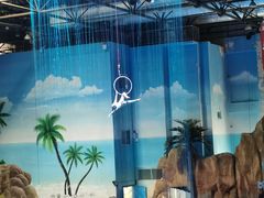 -华夏文旅海洋公园