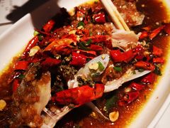 -杨氏青龙虾·羊蝎子(金盛路总店)