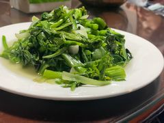 -翕庐小苑