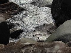 -三亚蜈支洲岛旅游区