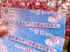 -莱阳濯村樱花园