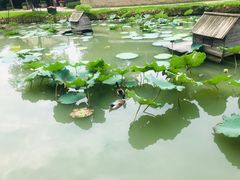 -乌村
