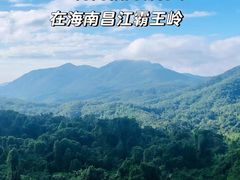 -海南霸王岭国家森林公园