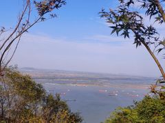 -紫金山山顶公园