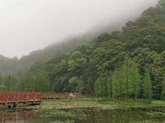 -广州市石门国家森林公园