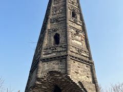 -上海佘山国家森林公园天马山园