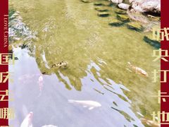 -广州花园酒店