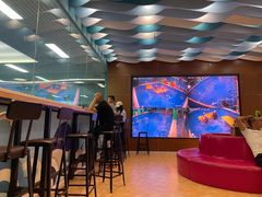 -Swim斯卫姆国际儿童游泳中心(红博中央公园店)