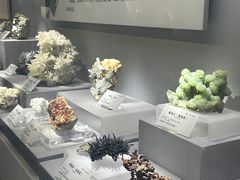 -湖南省地质博物馆
