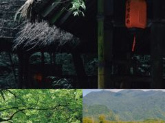-神农架景区