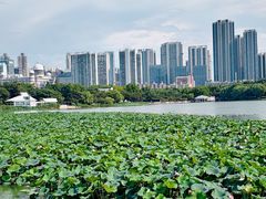 -月湖风景区