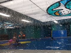 -Swim斯卫姆国际儿童游泳中心(红博中央公园店)