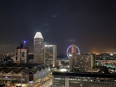 -新加坡瑞士史丹福酒店