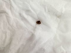 -希望齿科(河西店)