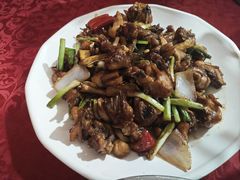 -联丰美食(番禺店)