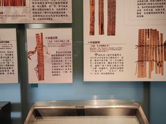 -长沙简牍博物馆