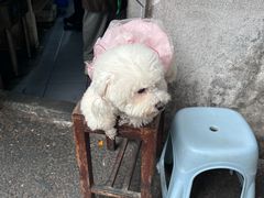 -南门黄孃甜不辣