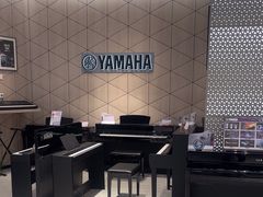 -知音艺术教育培训·钢琴培训·音乐培训(河西金鹰世界校区)