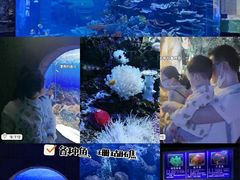 -左海海底世界