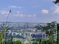 -火炉山森林公园