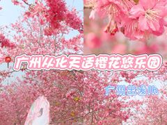 -天适樱花悠乐园