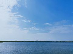 -鹅湖玫瑰文化园