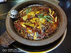 江团鱼-秦巴石锅鱼(文化南路店)