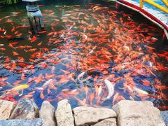 -竹泉村旅游度假区