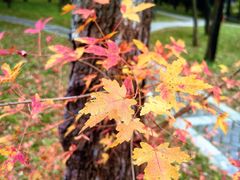 -国家植物园南园