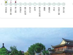 -上海野生动物园