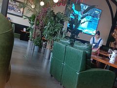 -普兰达德国餐厅·德式脆皮烤猪肘·自酿啤酒(观唐店)