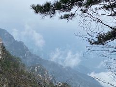 -庐山风景区花径公园