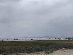 -东郊椰林