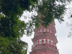 -中山公园(石岐街道)