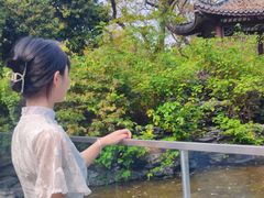 -四海公园(南山区)