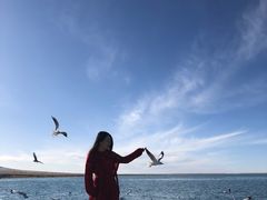 -青海湖国家重点风景名胜区