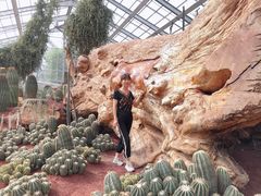 -南通洲际绿博园