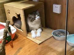 -奈雪的茶(亨特国际广场店)